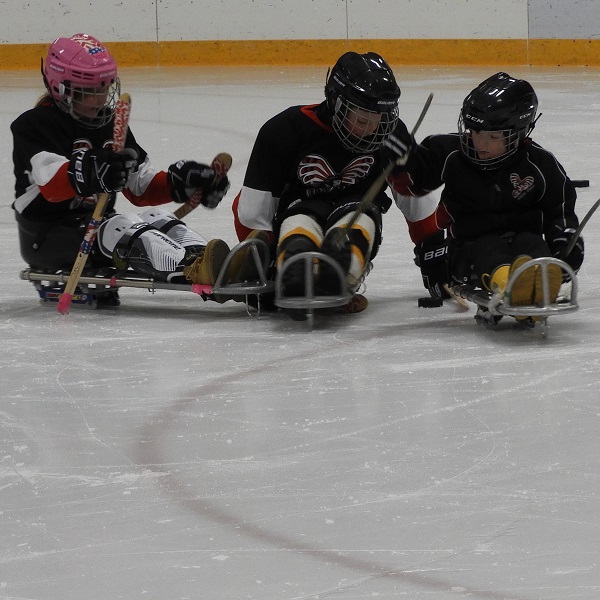 Bay Blades sledge hockey team sees late season action