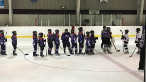 atom-bears-handshake-heather-roche