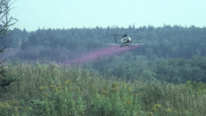 Forest industry under fire for spraying glyphosate - opposition grows