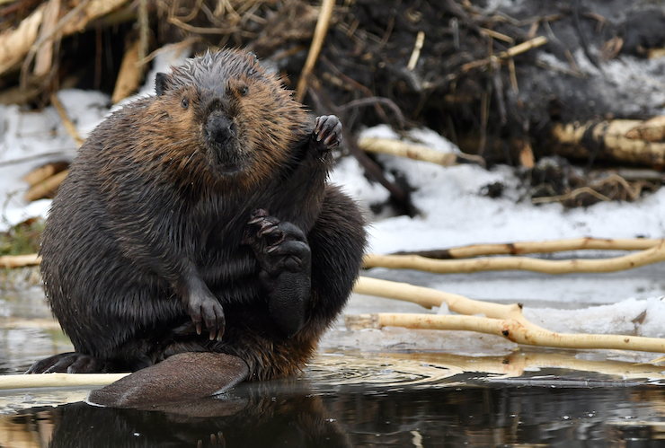 Remaining hopeful this Earth Day 2026